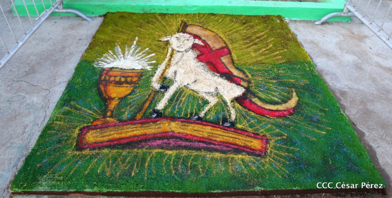 alfombra1